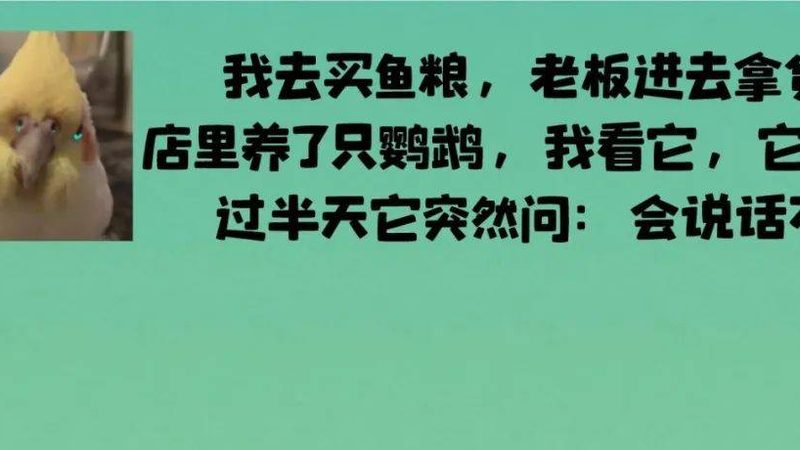 坚果炒货加盟代理：揭秘优缺点，助你明智选择